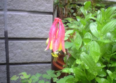 20120429 (1)