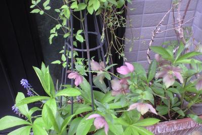 20120425 (1)
