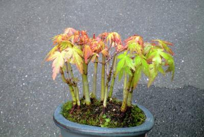 20120425 (6)