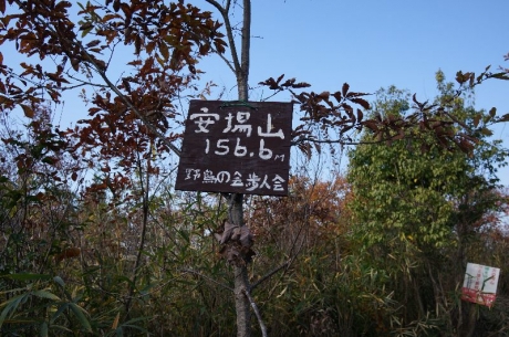 DSC01438.jpg