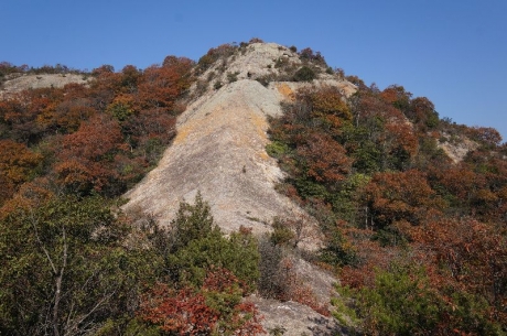 DSC01495.jpg