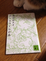 ポトスライムの舟と猫