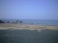 CA393213.jpg
