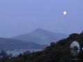 CA393220.jpg