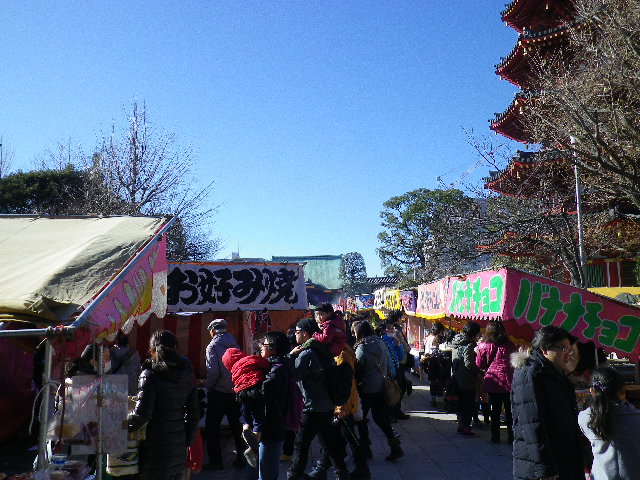 IMGP1425.jpg