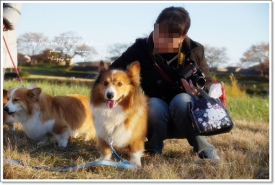 きなママの事覚えてたよ!!!