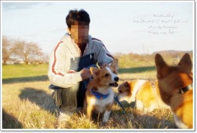 レオパパさん、行動力あるね。笑