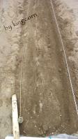 cornb130511b.jpg