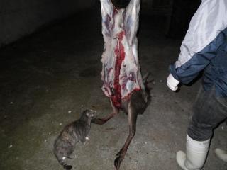2011-betukai019.jpg