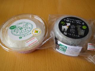2011-cook050.jpg