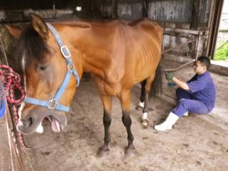 2011-grace322.jpg