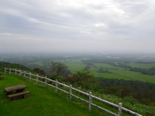 2011-shimizu003.jpg