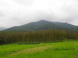 2011-shimizu013.jpg