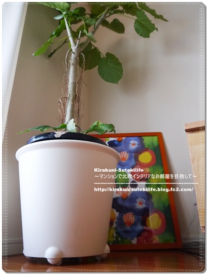 Ikeaの自動水やり機能付き植木鉢で失敗 Kirakuni Sutekilife 北欧 Ikea 無印で子供4人3ldkでも素敵に暮らす