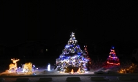 DSCN3695.jpg