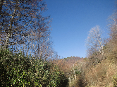 131130a.jpg