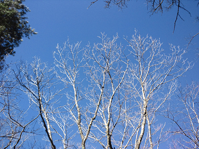 131130f.jpg