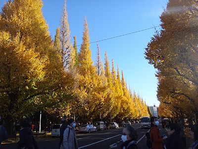 gaien201311f.jpg