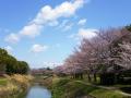 2012春ダイトレ (3)