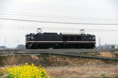 20130324_3041.jpg