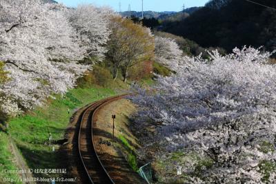 20130404_3612.jpg