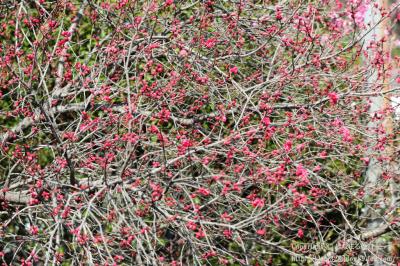 20130404_3834.jpg