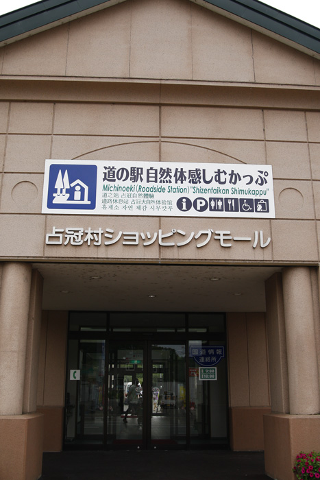 _DM31576.jpg