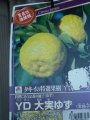 YDラベル