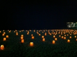 6-IMG_2768.jpg