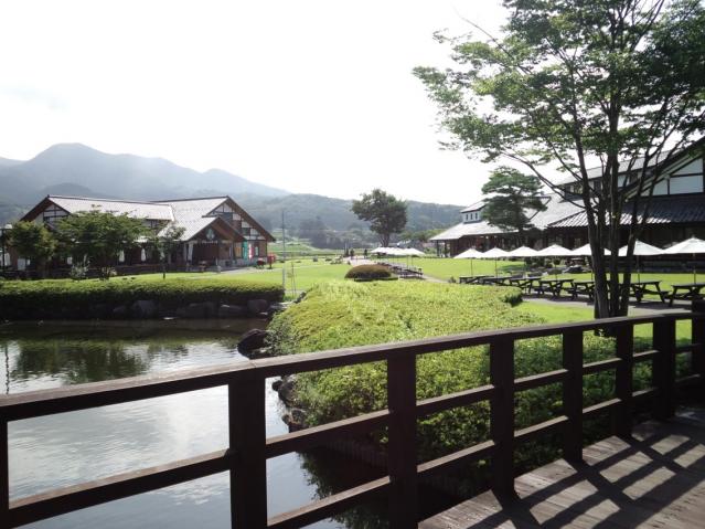 110828_PAP_0034.jpg