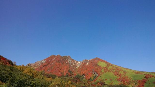 111012_PAP_1048.jpg