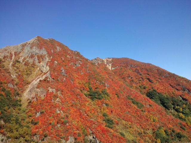 111012_PAP_1049.jpg