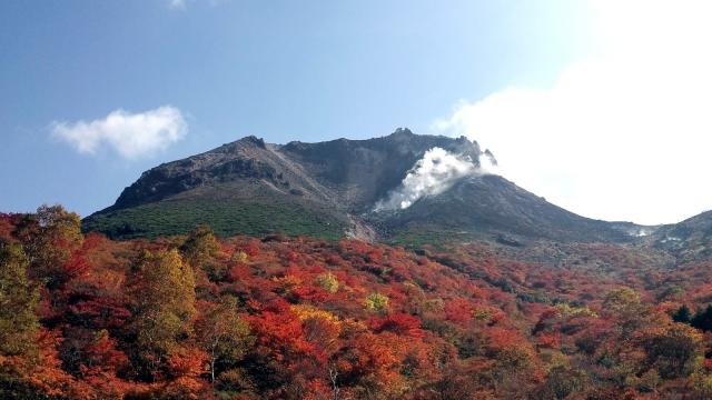 111012_PAP_1087.jpg
