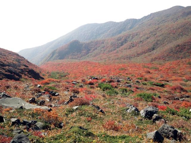 111012_PAP_1115.jpg
