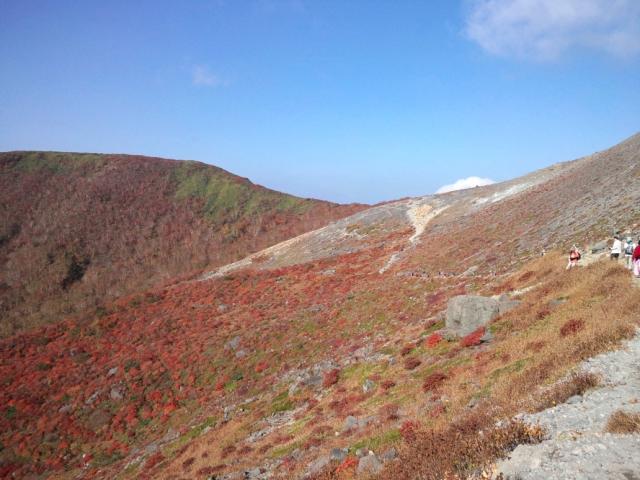 111012_PAP_1120.jpg