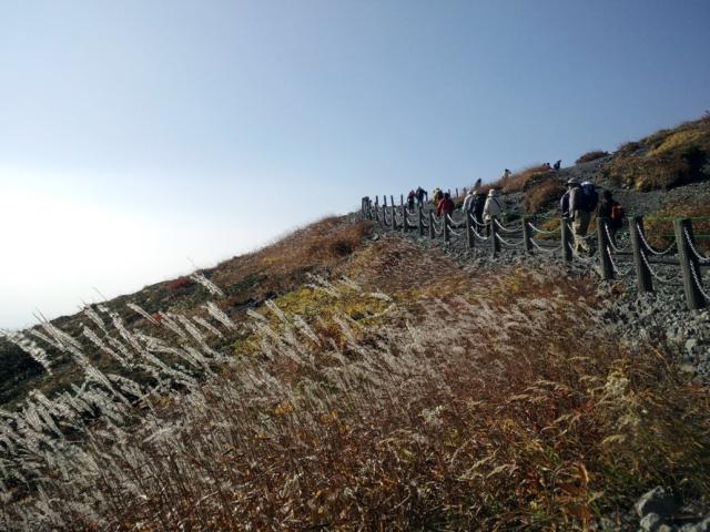 111012_PAP_1132.jpg
