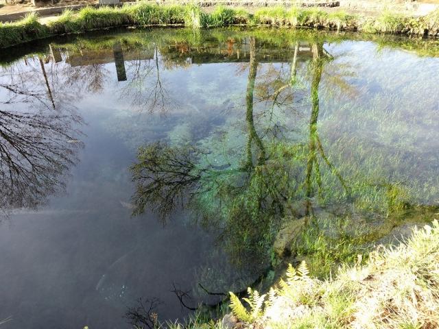 CA3H0112_20130506172752.jpg