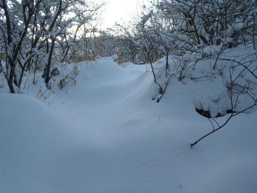 2014021603.jpg