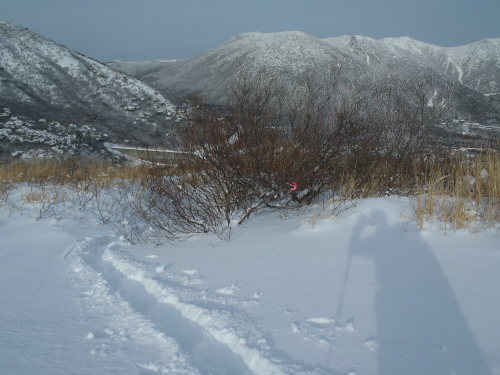 2014021604.jpg