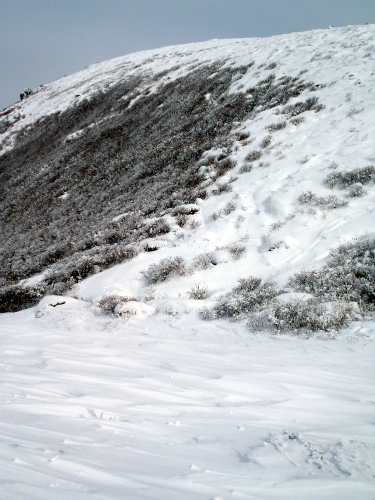 2014021612.jpg