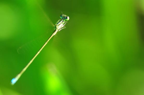 20110829itm 100-1
