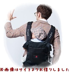 meshcarrier.jpg