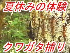 miyama_20130706025816.jpg