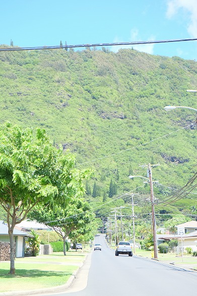DSCF9191.jpg