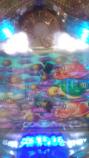 魚群
