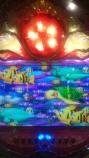 魚群