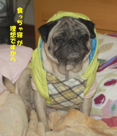 131215neoki.jpg