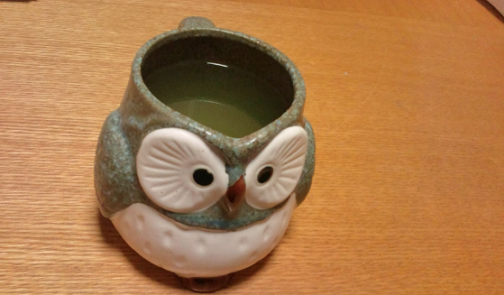 ふくろう6
