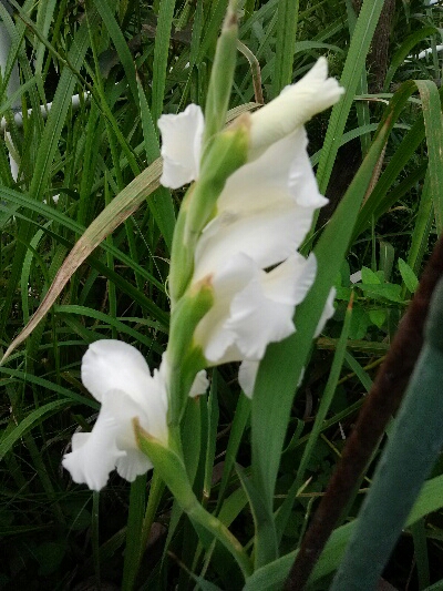 fc2_2013-07-23_22-21-26-016.jpg
