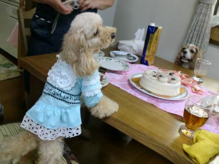 ねぇ、ケーキまだ?のなっちゃんと向こうはアルさん。